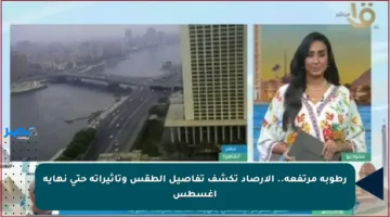 رطوبة مرتفعة.. الأرصاد تكشف تفاصيل الطقس وتأثيراته حتى نهاية أغسطس